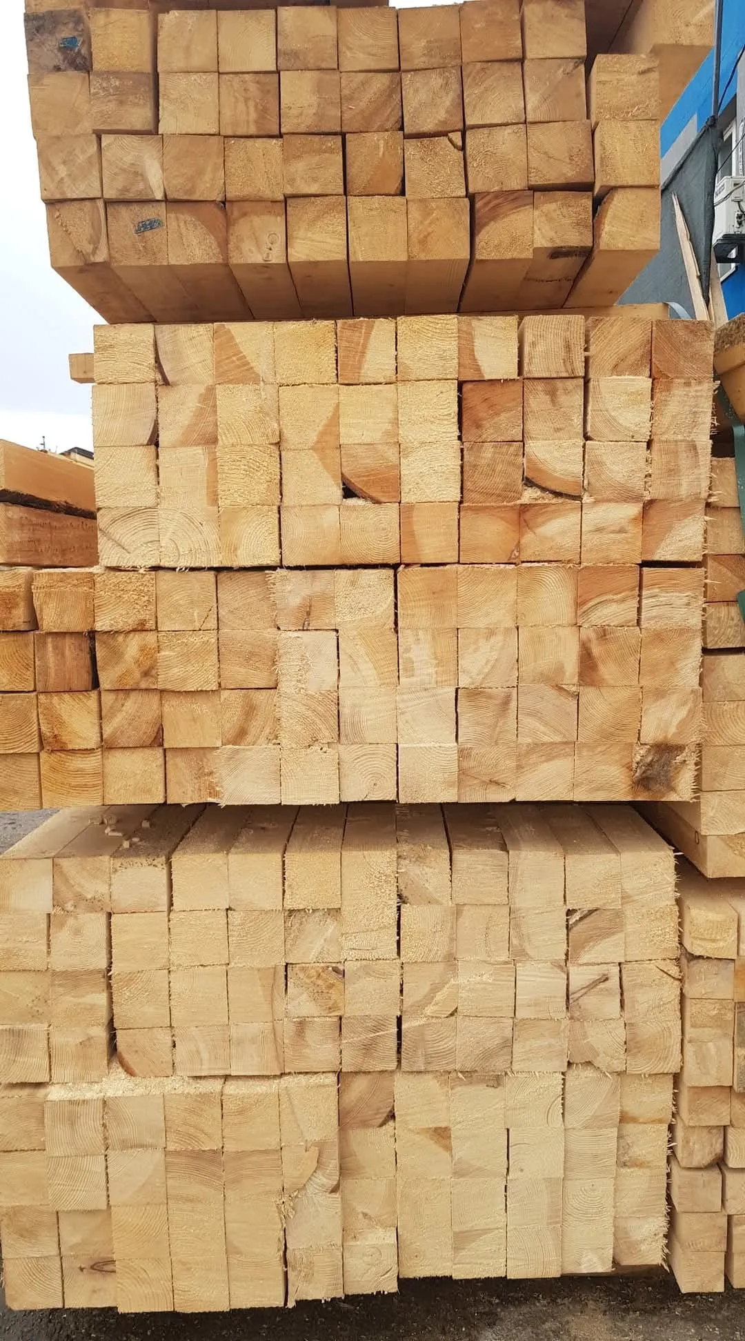 Material lemnos de rășinoase în depozit