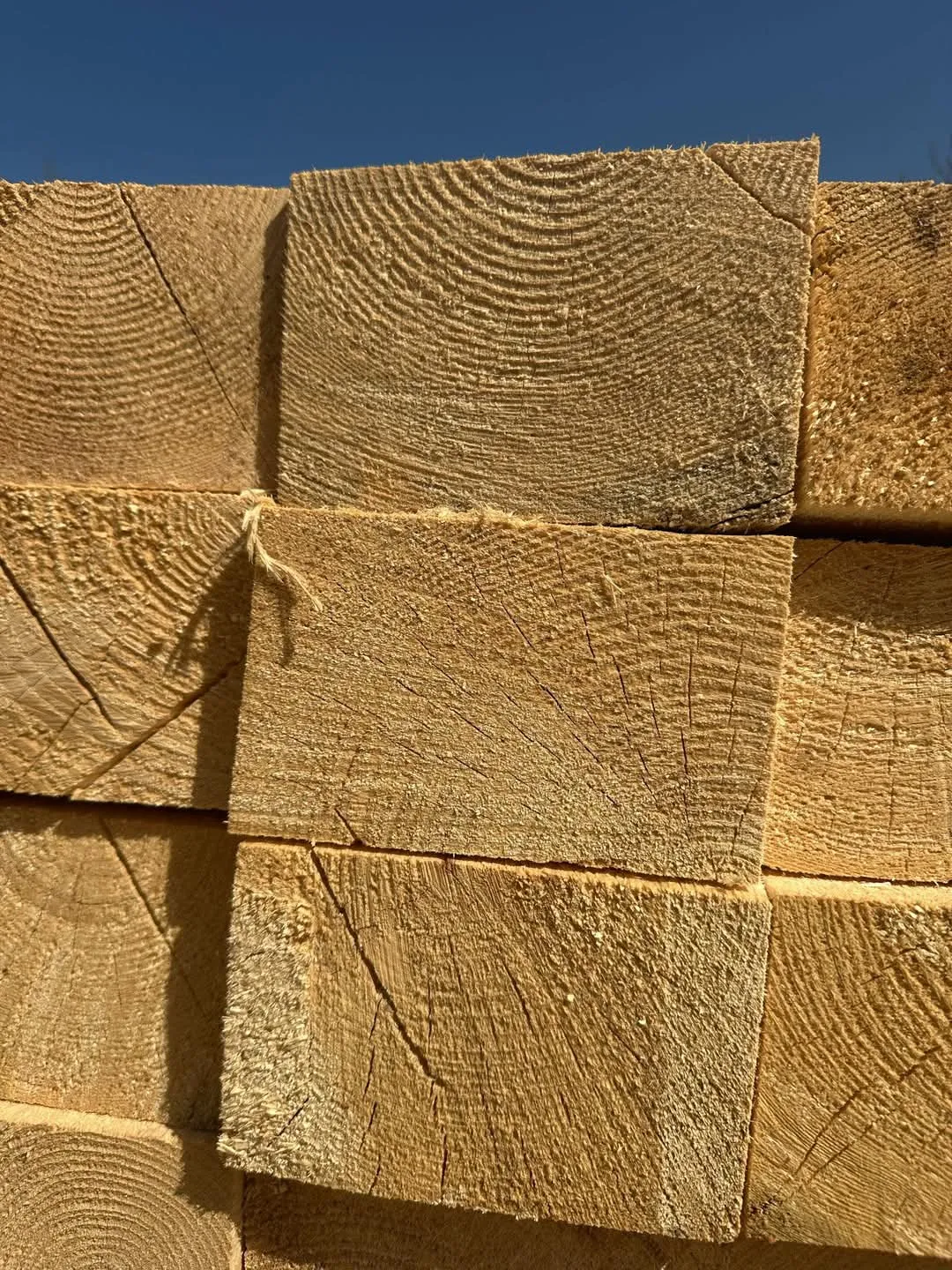 Material lemnos în depozitul din zona Chitila